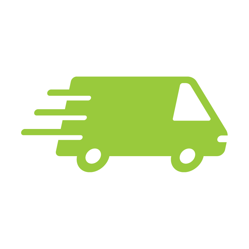 Fast delivery icon